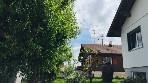 Un quartier résidentiel avec une maison, un arbre et une pelouse.
