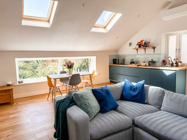 Smart TV, fireplace, books