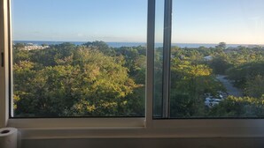 Vista desde una ventana sobre un bosque frondoso y una masa de agua distante.
