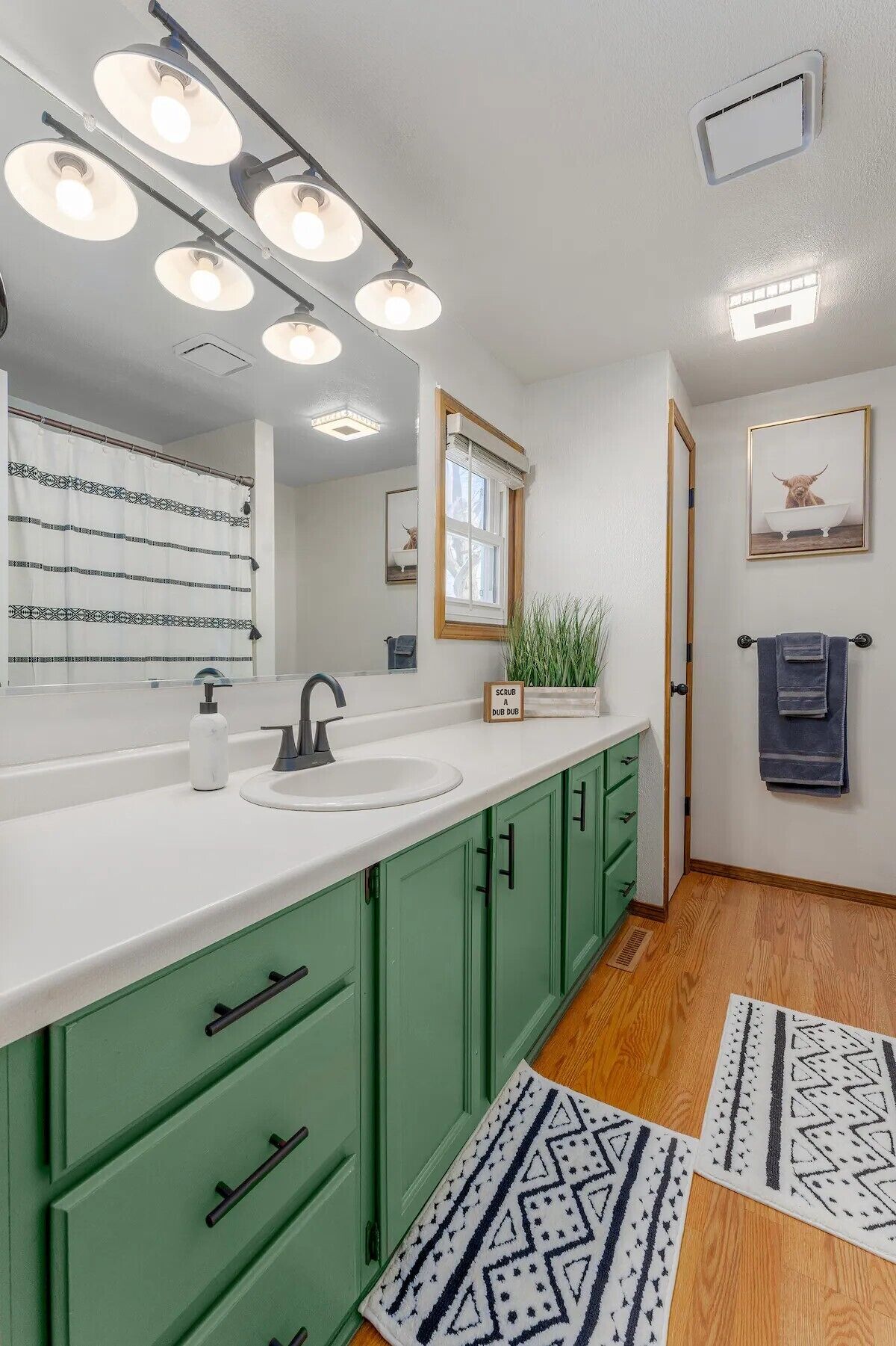 浴缸、吹风机、洗发水、卫生纸