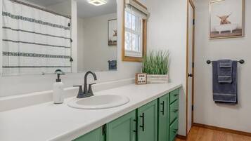 Tina, secadora de cabello, shampoo, papel de baño