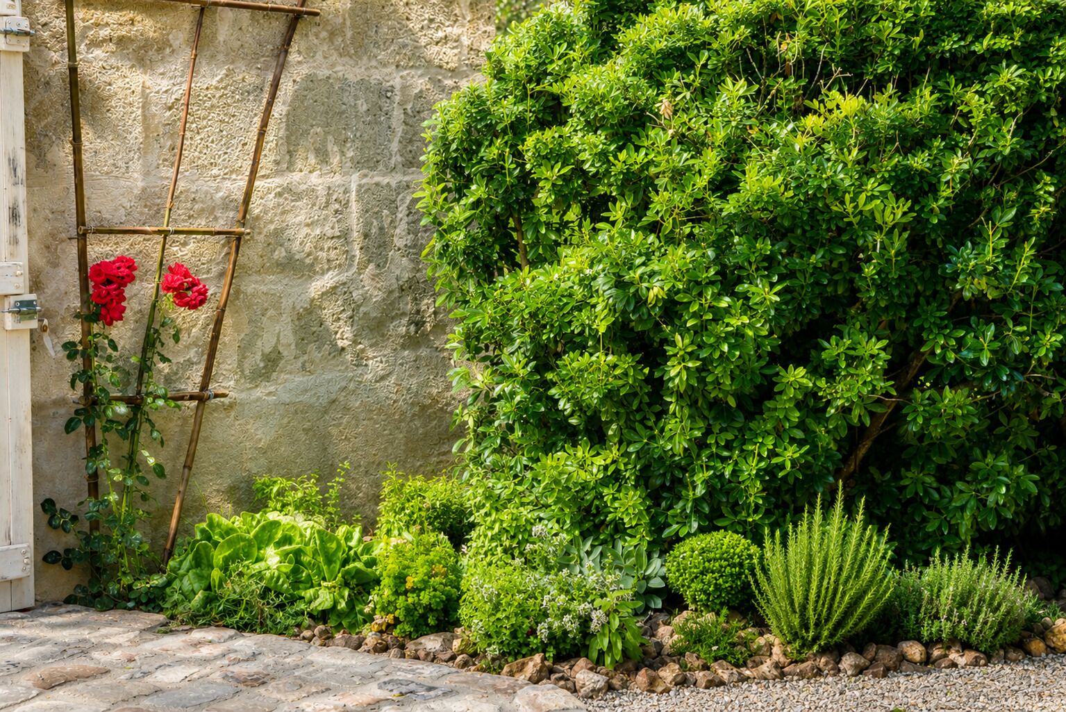 A garden with various plants, a climbing plant with red flowers, and a stone wall.