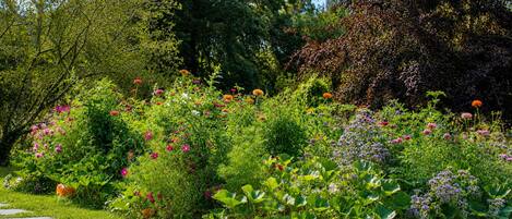 A garden with a variety of plants and flowers, stone pathway, and trees in the background.