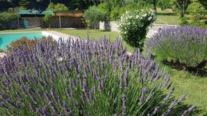 A pool surrounded by lavender fields and a stone building in the background. - Sale! Beautiful 2-bed Apartment With Pool Access (Spoleto)