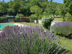 Apartamento | Jardines del alojamiento