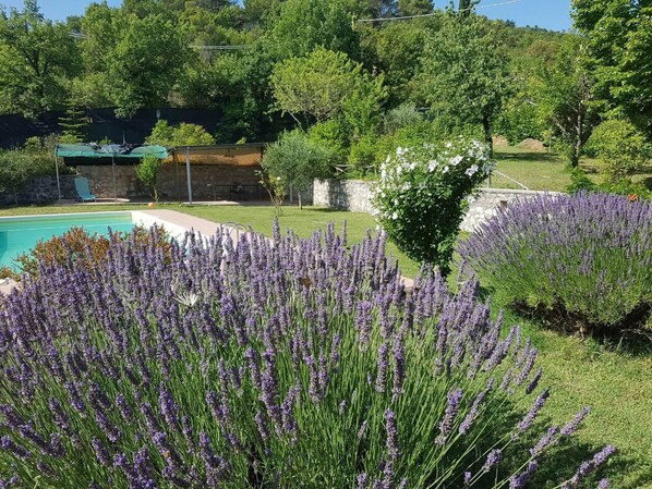 Apartment | Property grounds