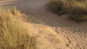 Una playa con arena y hierba, cielo despejado y una montaña distante.