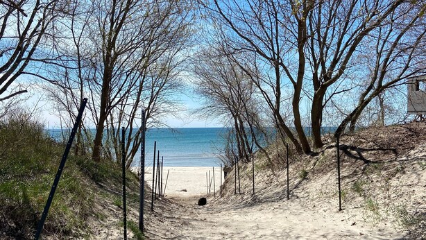 A sandy beach path leading to a beach with a clear view of the sea. - All Season Cottage steps to Long Beach (Wainfleet)