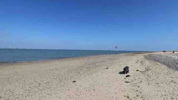 On the beach, beach towels