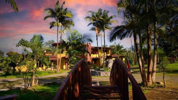 Un resort con un camino central que lleva a un edificio rodeado de palmeras.