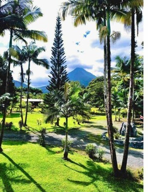 A tropical landscape with palm trees, a grassy area, and a mountain in the background.