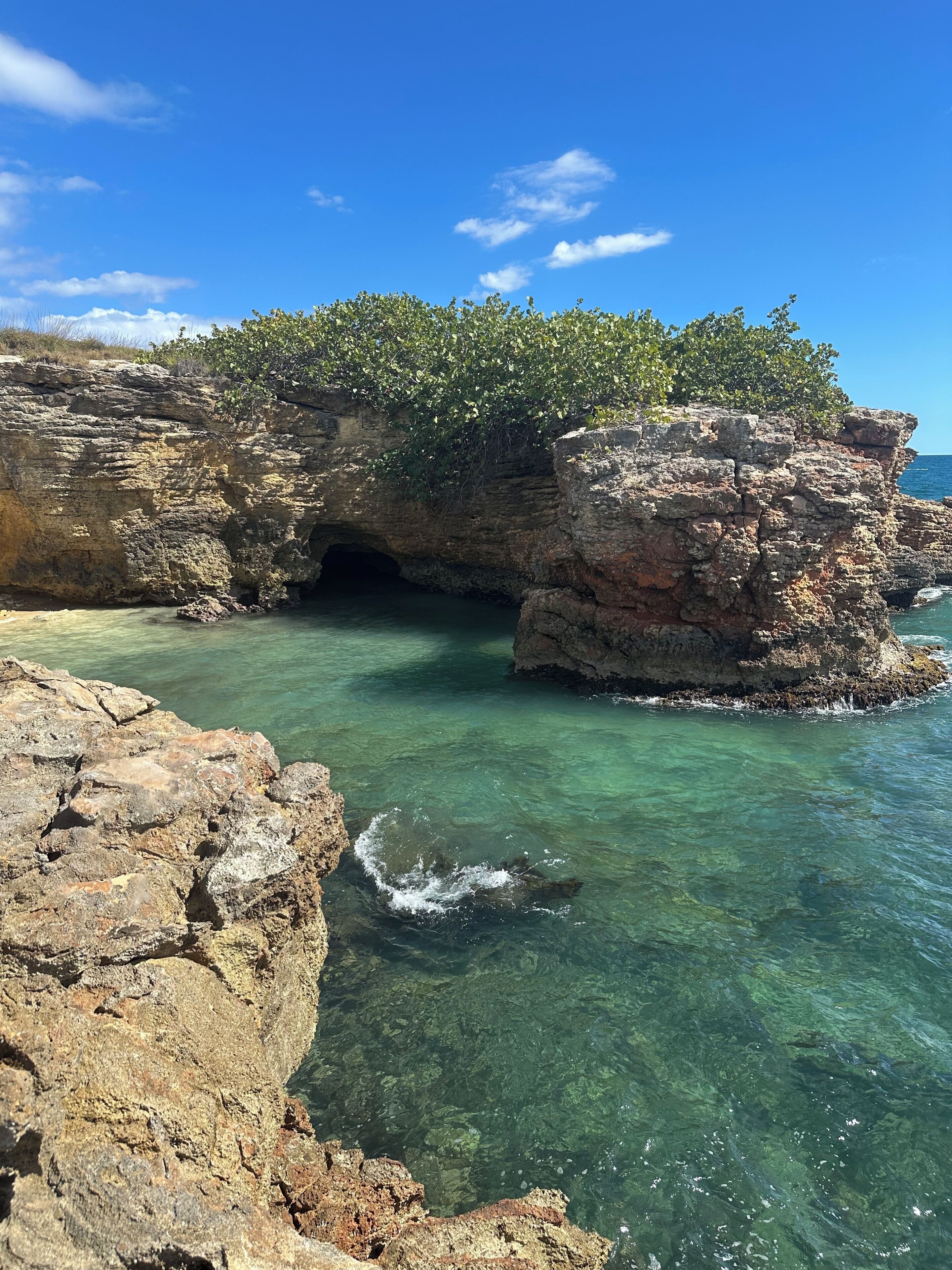A rocky coastline with clear water, a cave entrance, and dense foliage on the cliffs.
