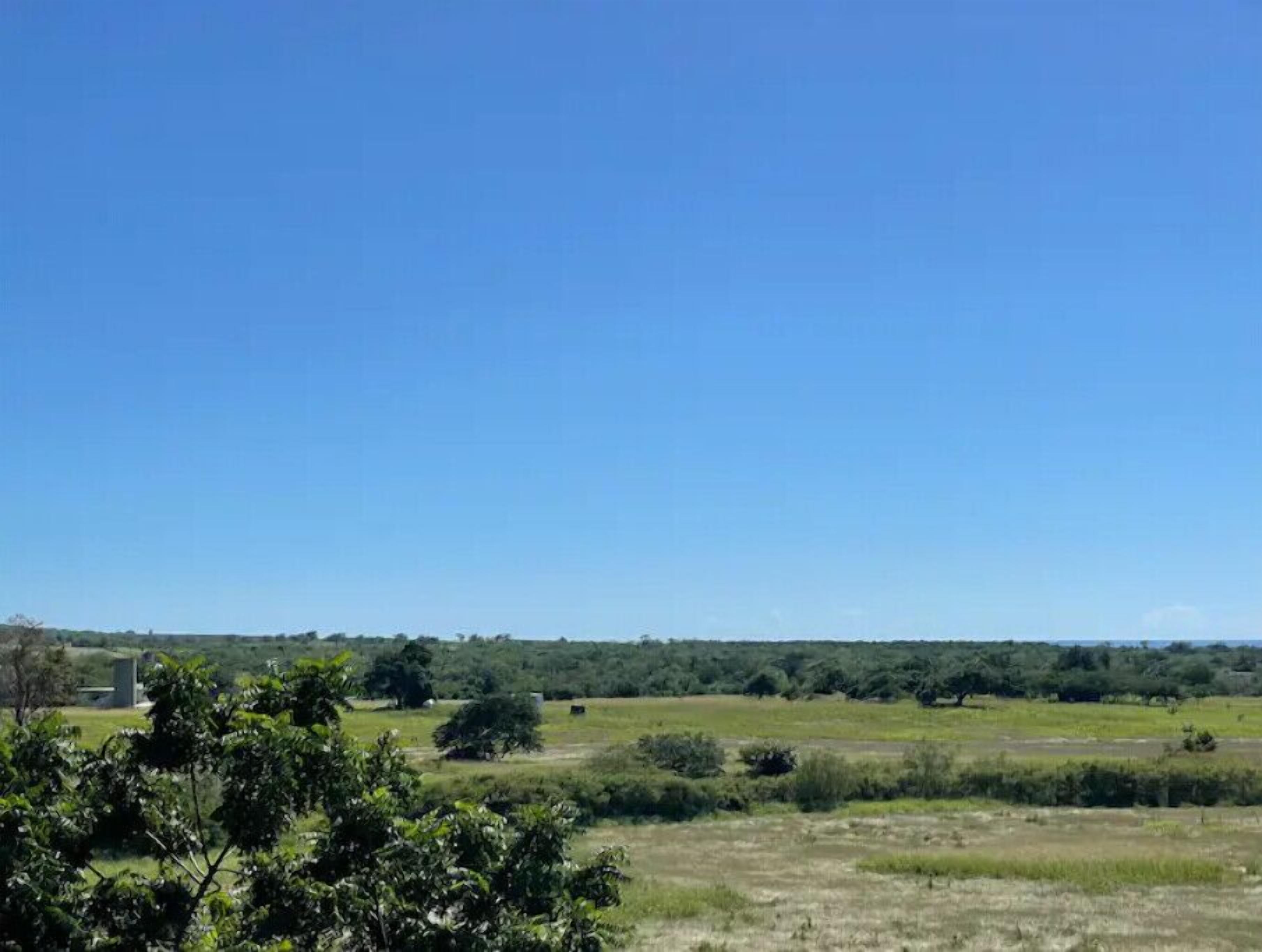 A rural landscape with open fields, scattered trees, and a clear blue sky.