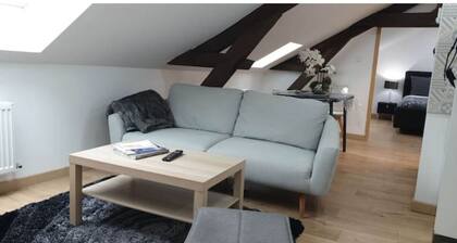 Appart spacieux au coeur de chalon vue sur les toits