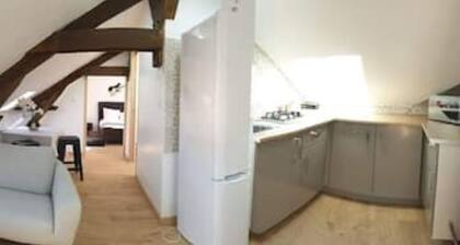 Appart spacieux au coeur de chalon vue sur les toits