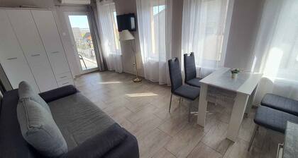 Studio with air conditioning and internet near the city centre