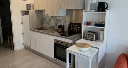 The Garrigue in the middle of the Pines