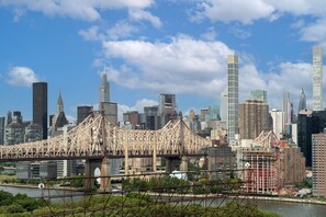 Vista desde la propiedad