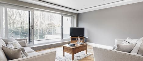Flat-screen TV