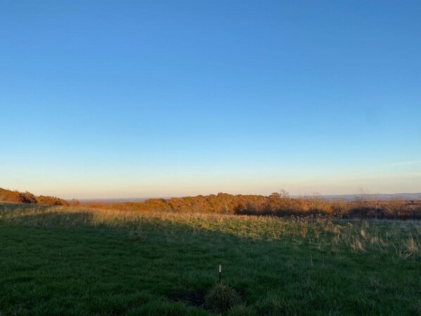 A wide, open field with a clear sky.
