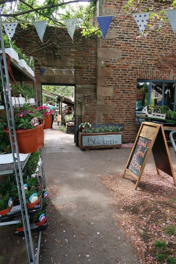 Terrain de l’hébergement 