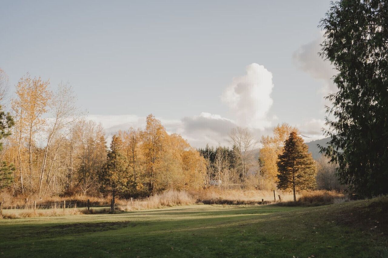 Un champ verdoyant, parsemé d’arbres aux couleurs automnales, avec une montagne en arrière-plan.