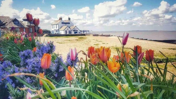 A coastal hotel with a large house and a beach view. - Perfect Location, dog Friendly Beautiful Home (Whitstable)