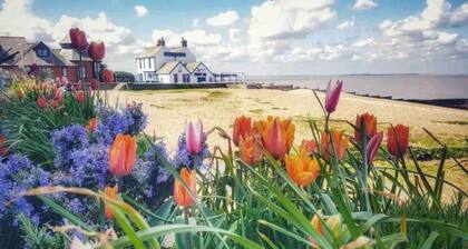 Perfect Location, dog Friendly Beautiful Home