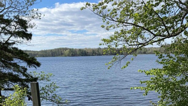 A wooden dock leading to a lake surrounded by trees. - Classic MN Up North Lake House w/Sauna (Aitkin)