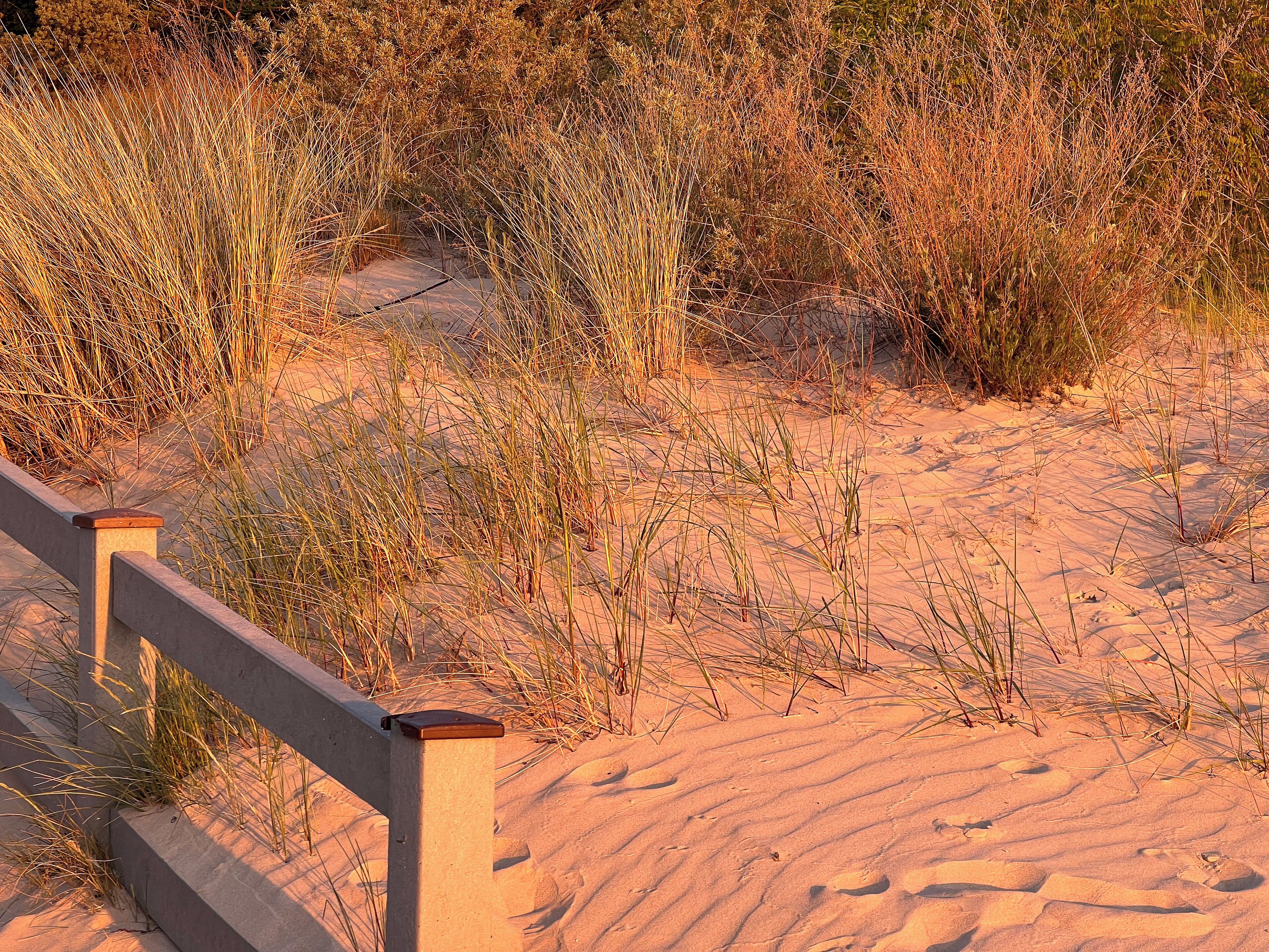Ein sandiger Strand mit einer Holzlattenzaun.