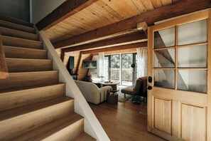 TV connectée, cheminée, livres