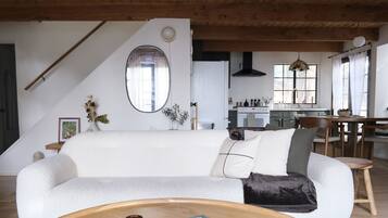 Smart TV, fireplace, books