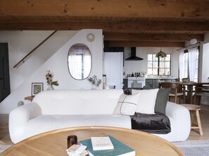 Smart TV, chimenea, libros