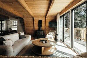 TV connectée, cheminée, livres