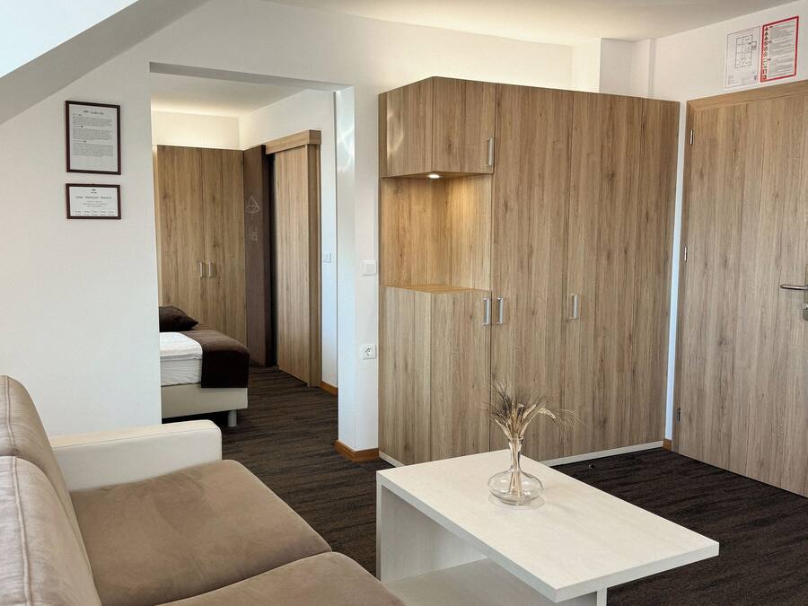A modern hotel room with a sofa, a small table, and wooden wardrobes.