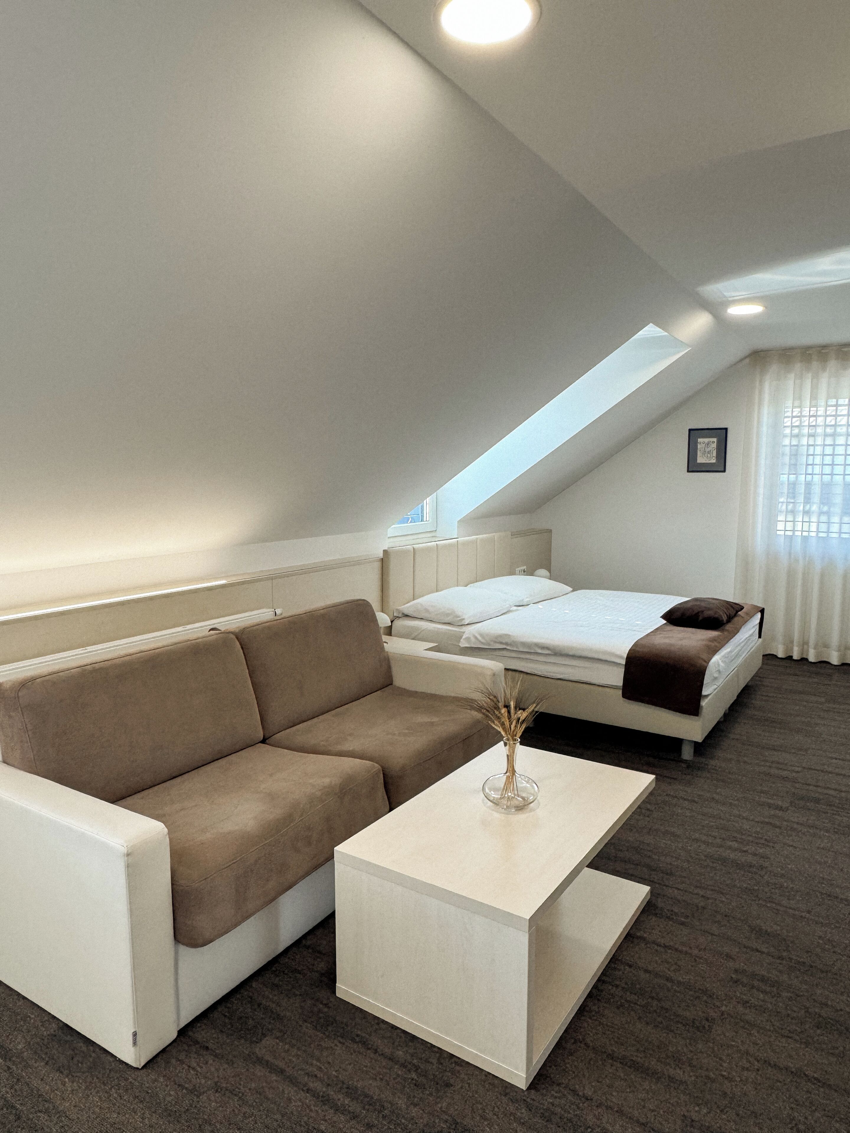 A modern hotel room with a sofa, a bed, a small table, and a skylight.