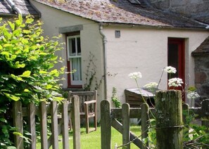 Property grounds - A romantic woodland hideaway for two (Nethy Bridge)