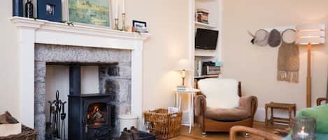 Smart TV, fireplace, books, music library