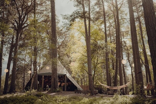 Terrain de lâhĂ©bergement