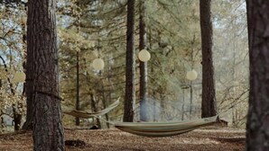 A hammock suspended between trees in a forested area. - South Dell - Scandi-style family cottage set on the edge of the Abernethy Forest (Nethy Bridge,)