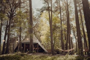 Property grounds - A beautiful family cottage spilling out onto the big lawn and woodland.  (Nethy Bridge,)