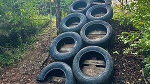 A stack of tires in a forested area. - Pin Oak at Forest Villas: Swing Fire Pit Cabin, Pet-Friendly,  Cook Forest (Marienville)