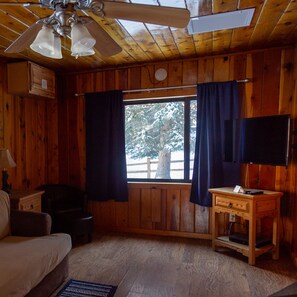 Televisión y chimenea 