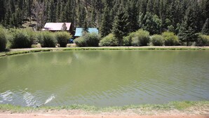 A pond with a wooden dock, surrounded by dense forest and a building with a red roof. - Located on our Private Fishing Pond (Red River)