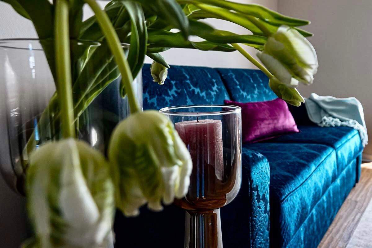 Ein Glas rote Flüssigkeit auf einem Tisch, im Hintergrund ein blaues Sofa und eine Pflanze.