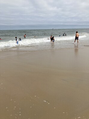 A beach with people swimming and walking in the water. - cottage, community pool, playground, boating, crabbing kayaking and  fishing!!! (Ocean Pines)
