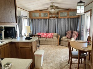 Smart TV, fireplace, books, stereo