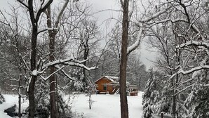 Eine Hütte, umgeben von schneebedeckten Bäumen.