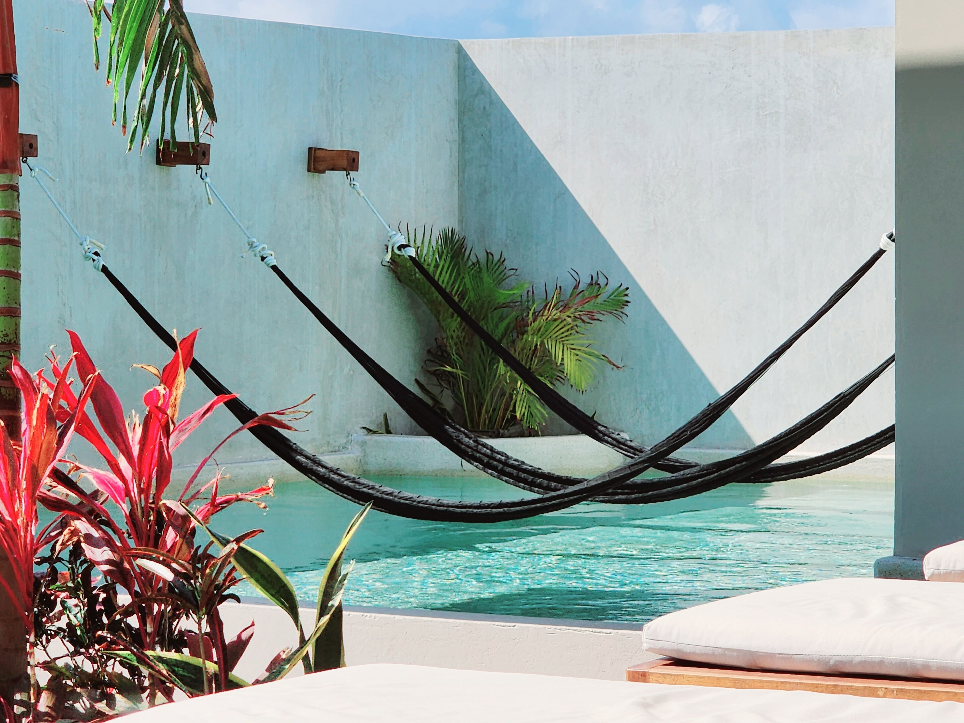 Un hamac suspendu au-dessus d’une piscine, avec un mur bleu et des plantes.