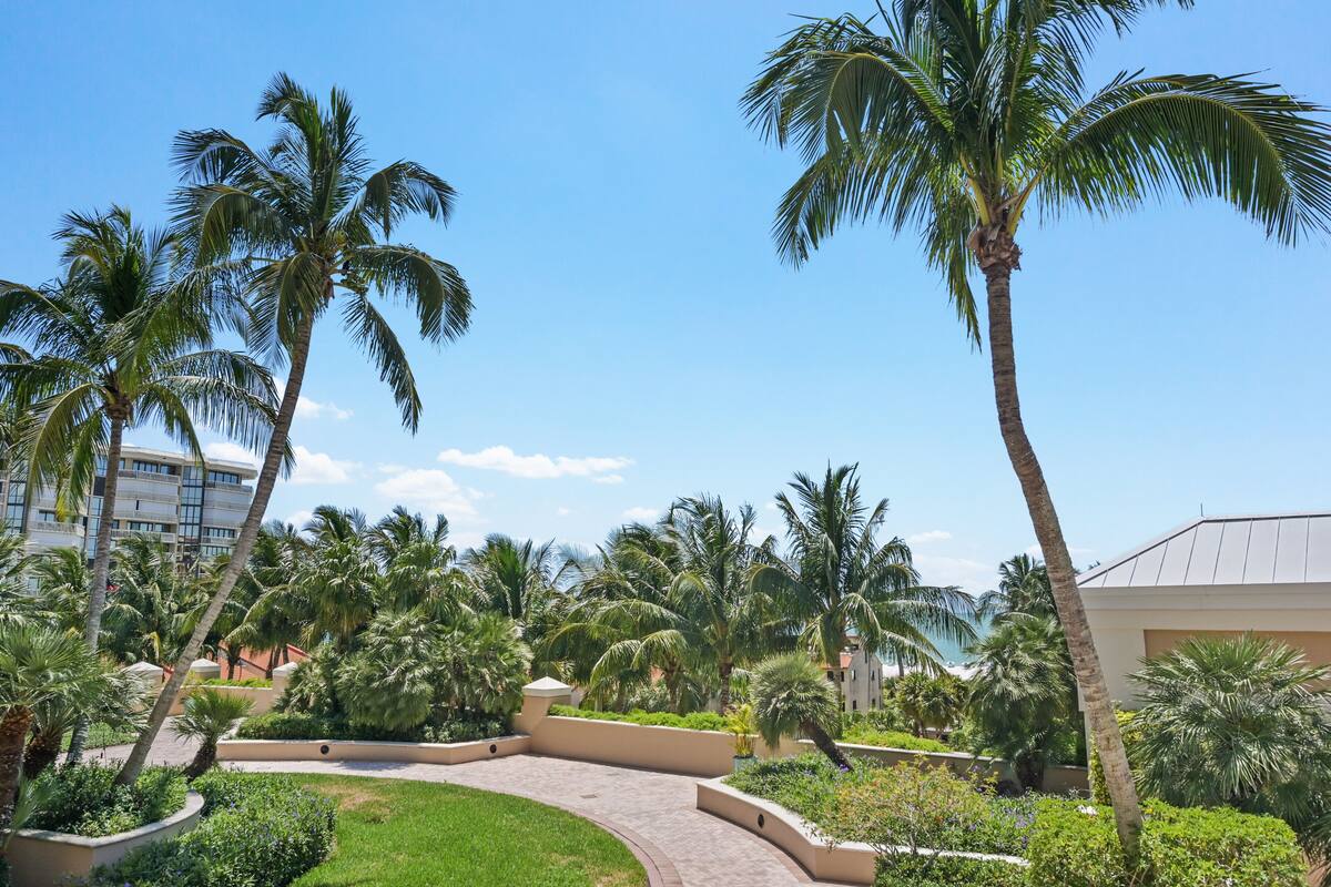 A landscaped garden with palm trees, a curved pathway, and a building with a flat roof.